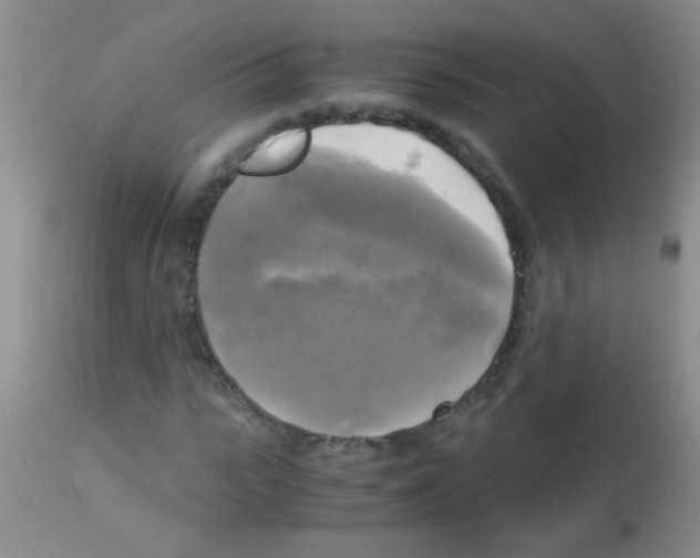 X0000113140919200910161152