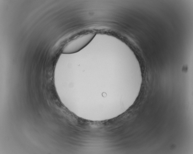 X0000113140920200910161152