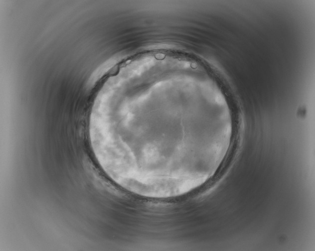 X0000113140921200910161152