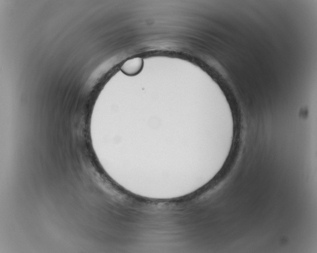 X0000113140922200910161152