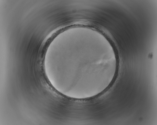 X0000113140923200910161152
