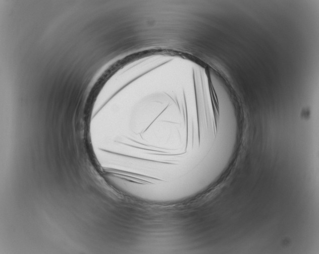 X0000113140924200910161152