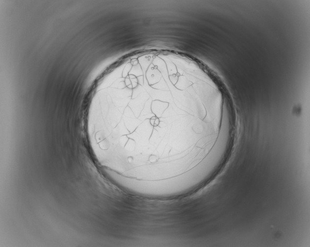 X0000113140925200910161152