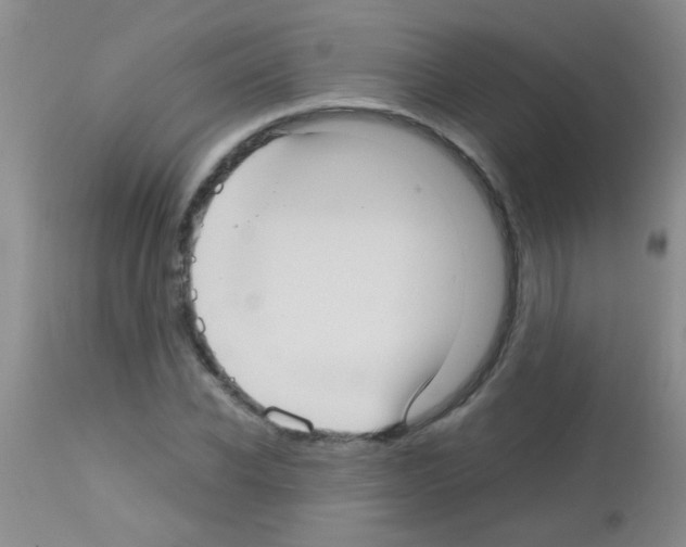 X0000113140926200910161152