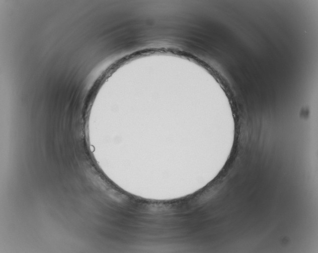 X0000113140927200910161152
