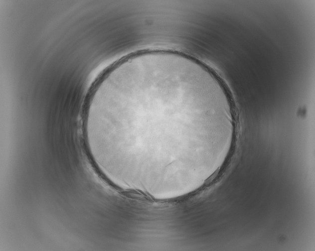 X0000113140928200910161152