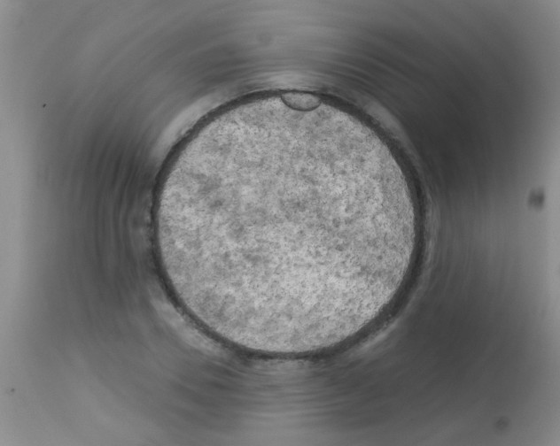 X0000113140930200910161152