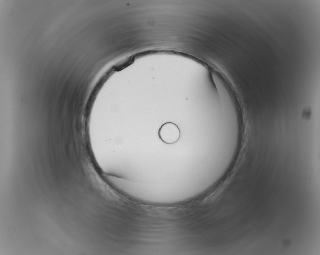 X0000113140932200910161152