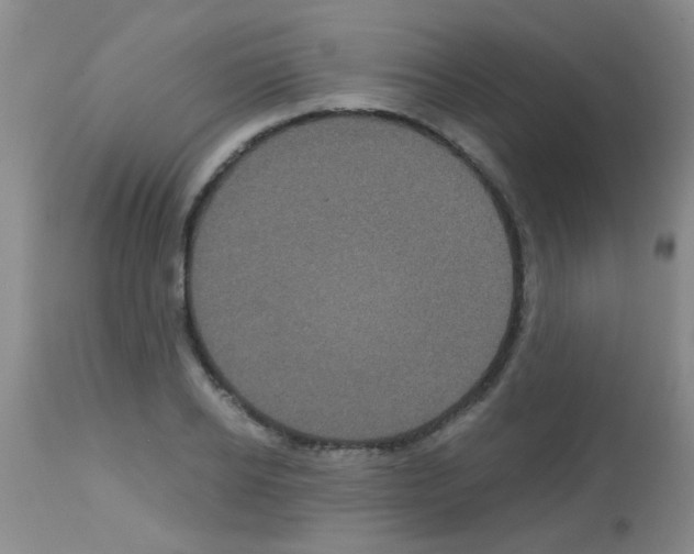 X0000113140934200910161152