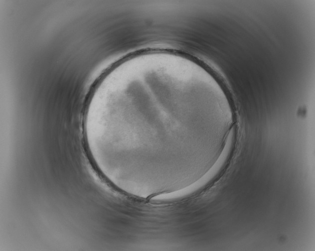 X0000113140935200910161152