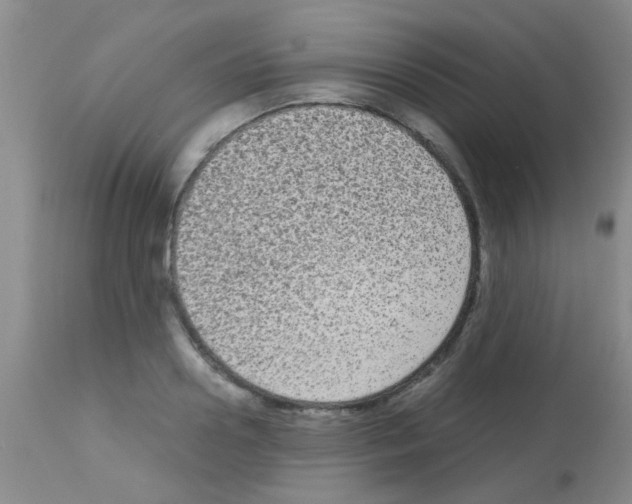 X0000113140938200910161152