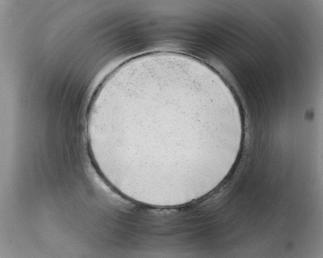 X0000113140939200910161152