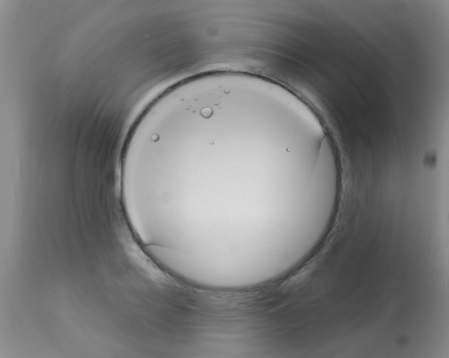 X0000113140940200910161152