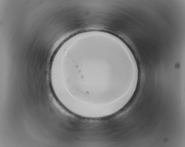 X0000113140941200910161152