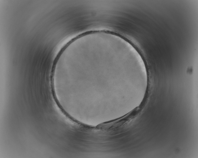 X0000113140943200910161152