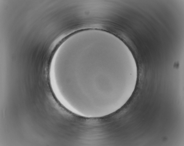 X0000113140944200910161152