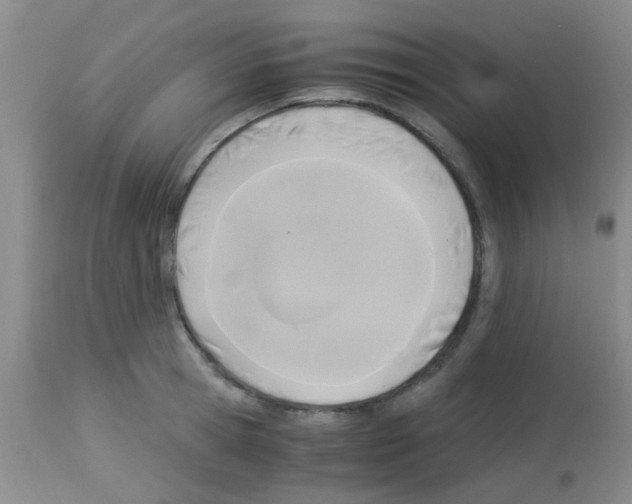 X0000113140945200910161152