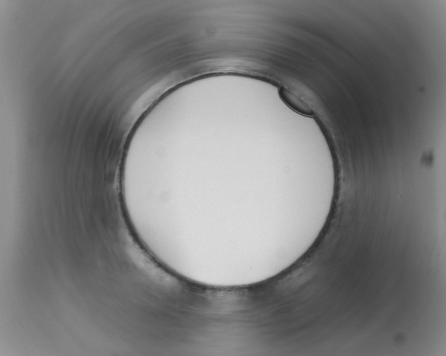 X0000113140946200910161152