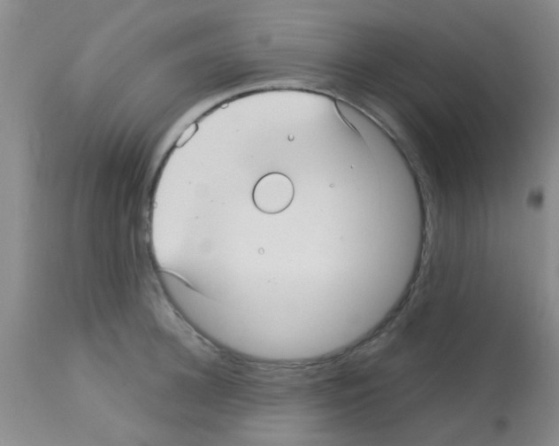 X0000113140948200910161152
