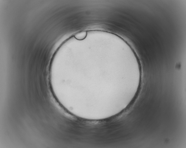 X0000113140949200910161152