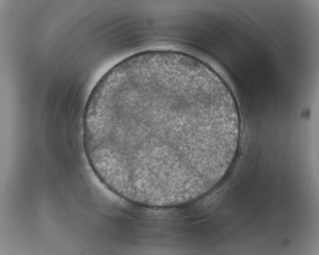 X0000113140951200910161152