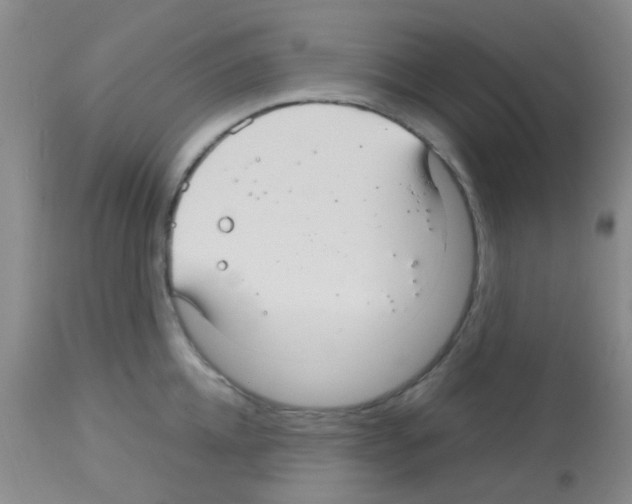 X0000113140952200910161152