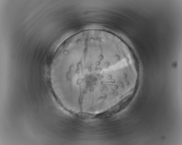 X0000113140953200910161152