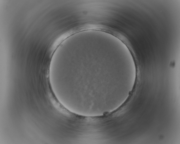 X0000113140954200910161152