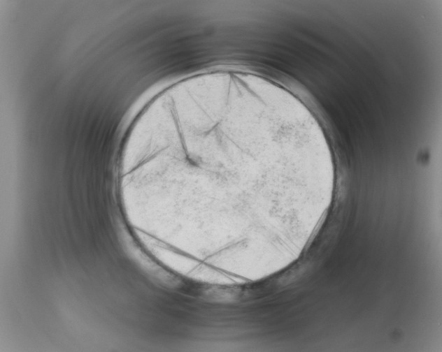 X0000113140955200910161152