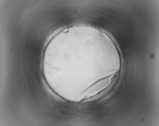 X0000113140957200910161152