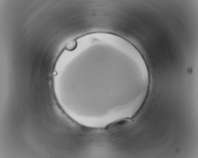 X0000113140958200910161152