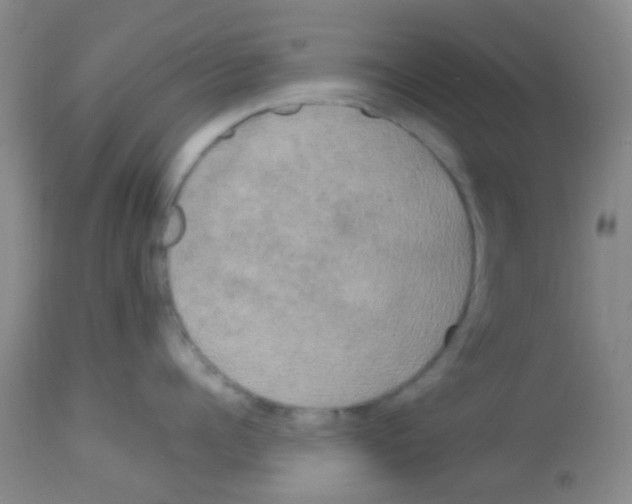 X0000113140960200910161152
