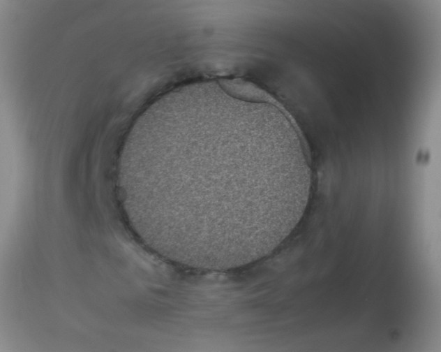 X0000113140961200910161152