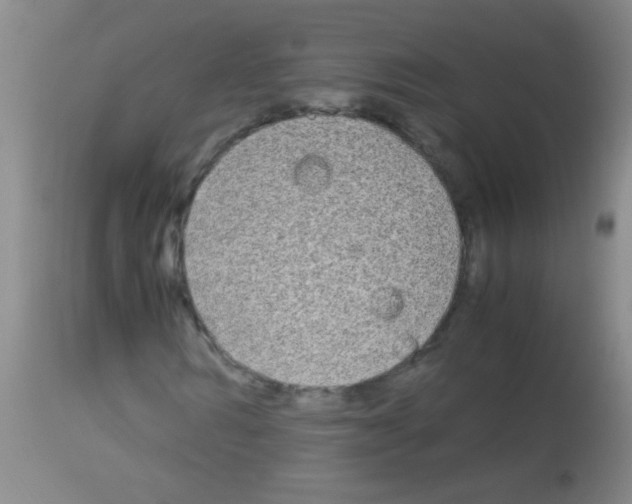 X0000113140962200910161152