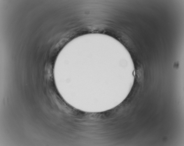 X0000113140963200910161152