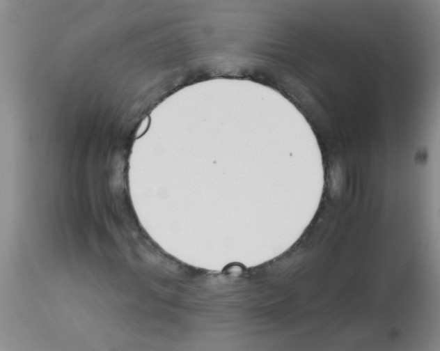 X0000113140964200910161152