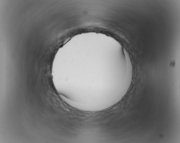 X0000113140965200910161152