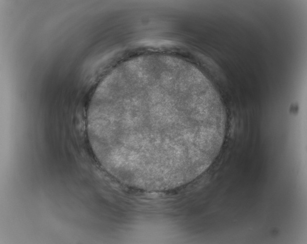 X0000113140966200910161152