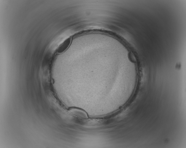 X0000113140969200910161152
