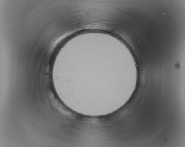 X0000113140971200910161152