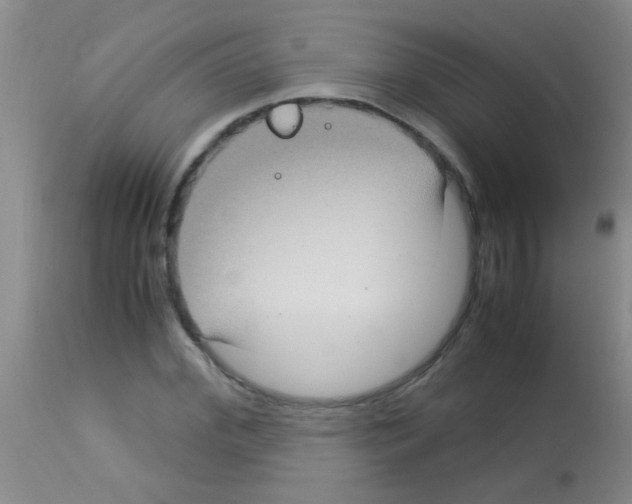 X0000113140972200910161152