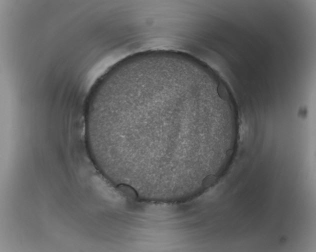 X0000113140973200910161152