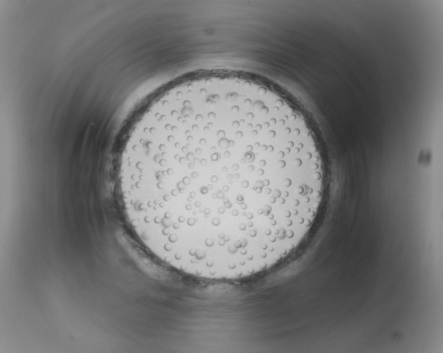 X0000113140974200910161152