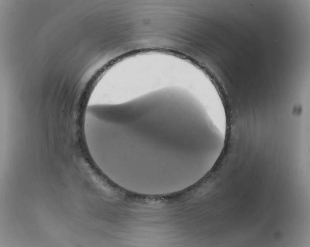 X0000113140975200910161152
