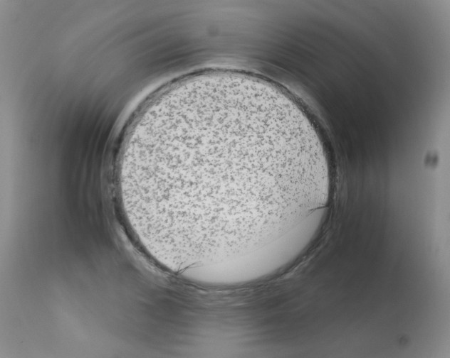 X0000113140976200910161152