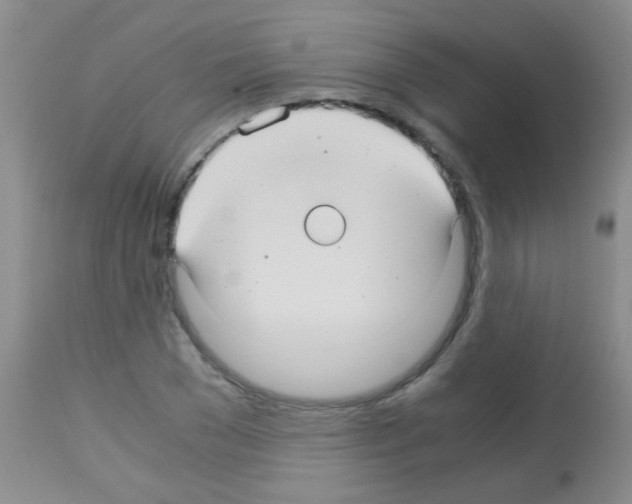 X0000113140977200910161152
