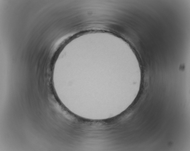 X0000113140979200910161151