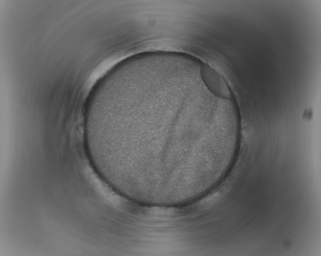 X0000113140981200910161151