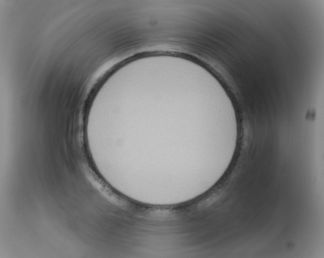 X0000113140982200910161151