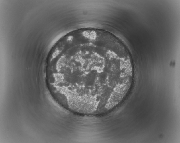 X0000113140983200910161151